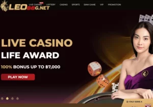 บาคาร่า LEO88