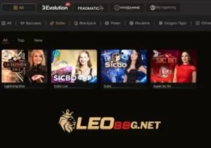 ไฮโลออนไลน์ LEO88