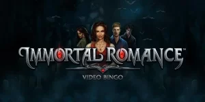 เล่นบิงโก